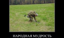 Народная мудрость