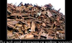 Ты все еще пытаешься найти золото