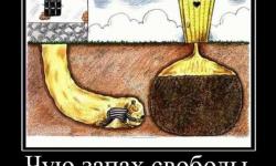 Чую