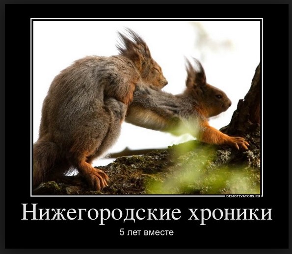 Треккер кладоискателей