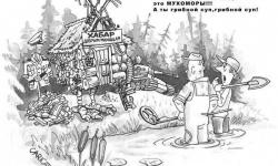 Мухоморы